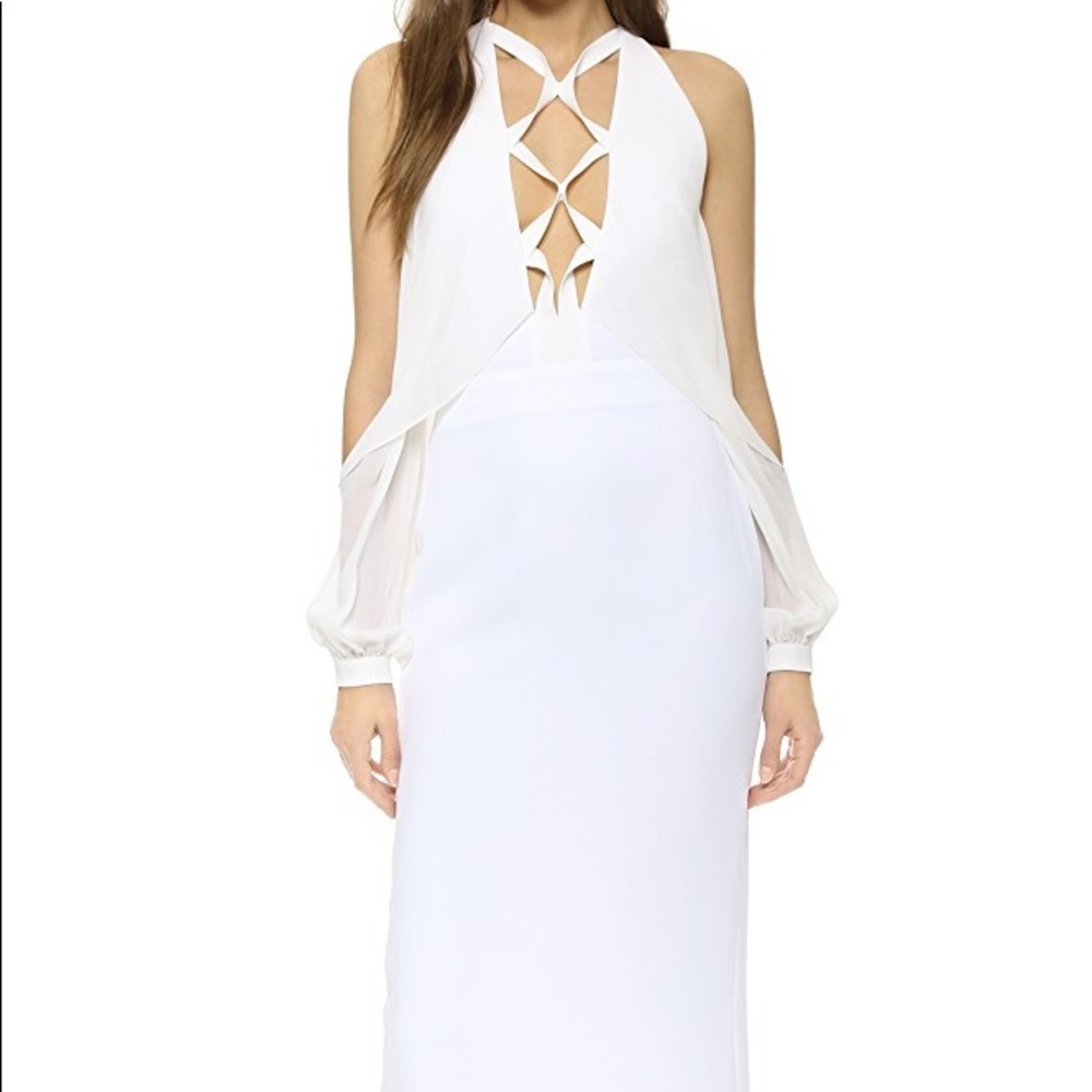 dion lee - Picture 2 of 8